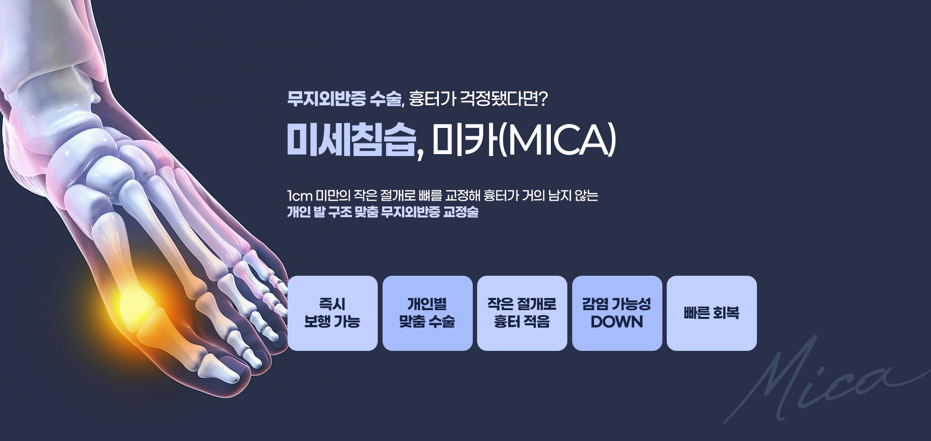 메인이미지